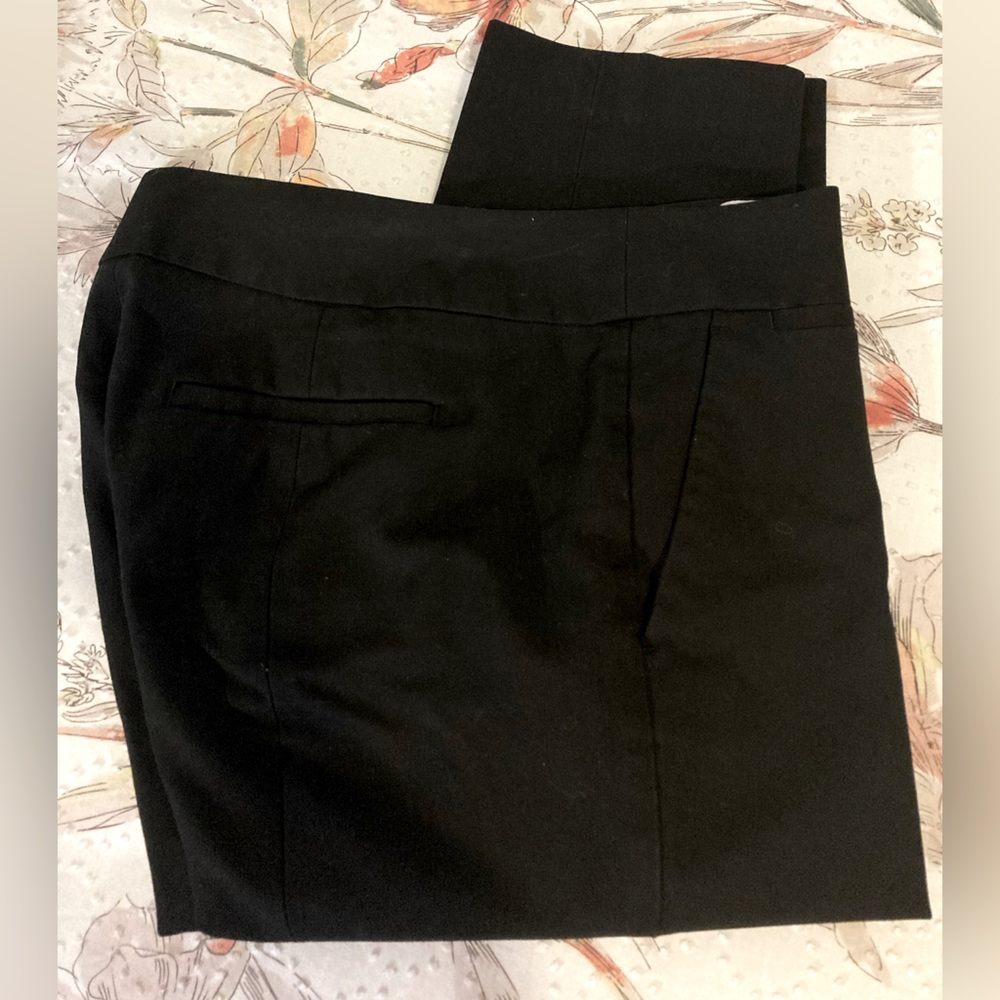 Women’s Capri Loft Marisa Dress Pants